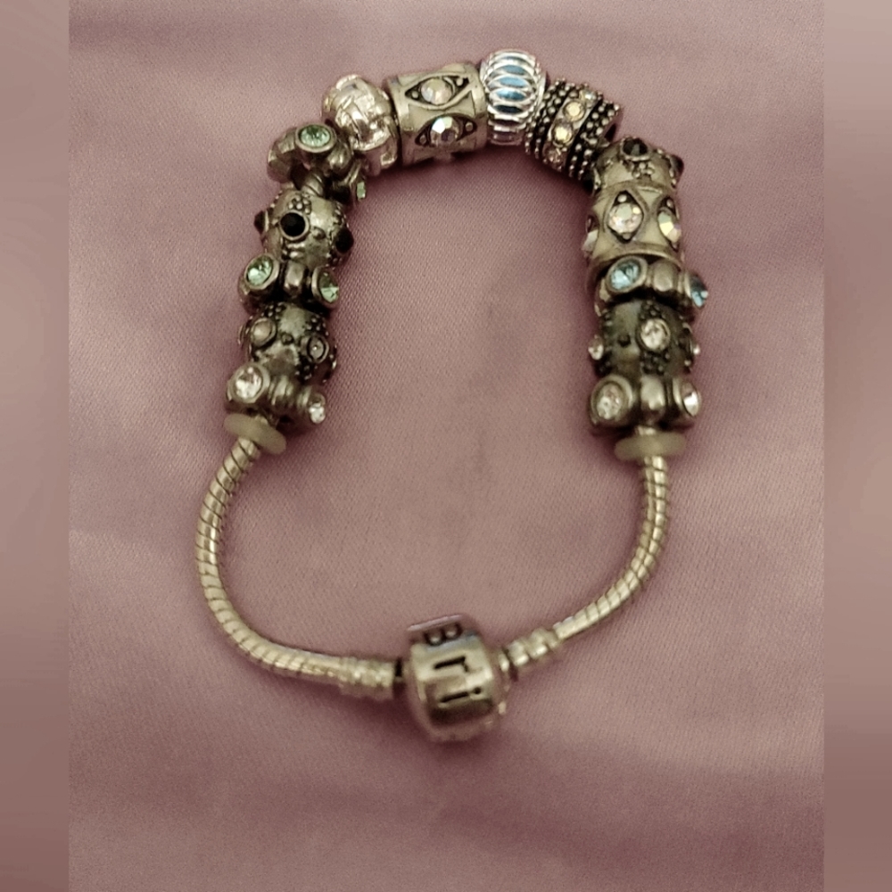 ✨👑Brissys Silver 14 Charm Bracelet👑✨